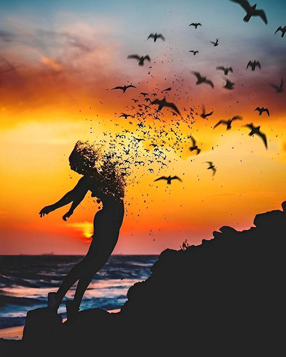 Abstrakte Frau und Vögel Diamond Painting