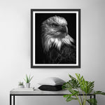 Adler im Dunkeln Diamond Painting