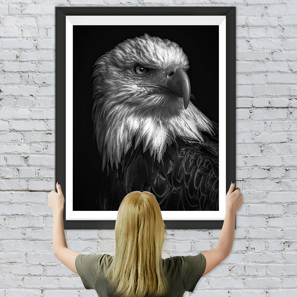 Adler im Dunkeln Diamond Painting