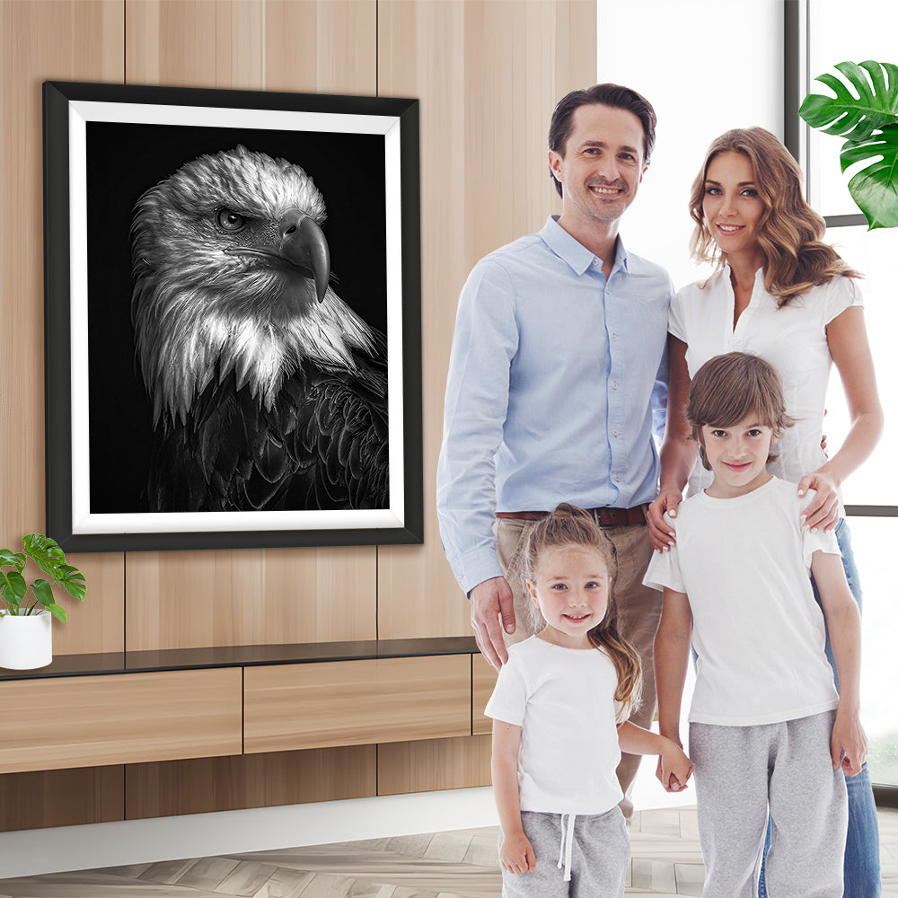 Adler im Dunkeln Diamond Painting