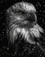 Adler im Dunkeln Diamond Painting