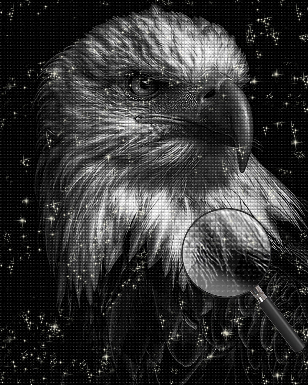 Adler im Dunkeln Diamond Painting