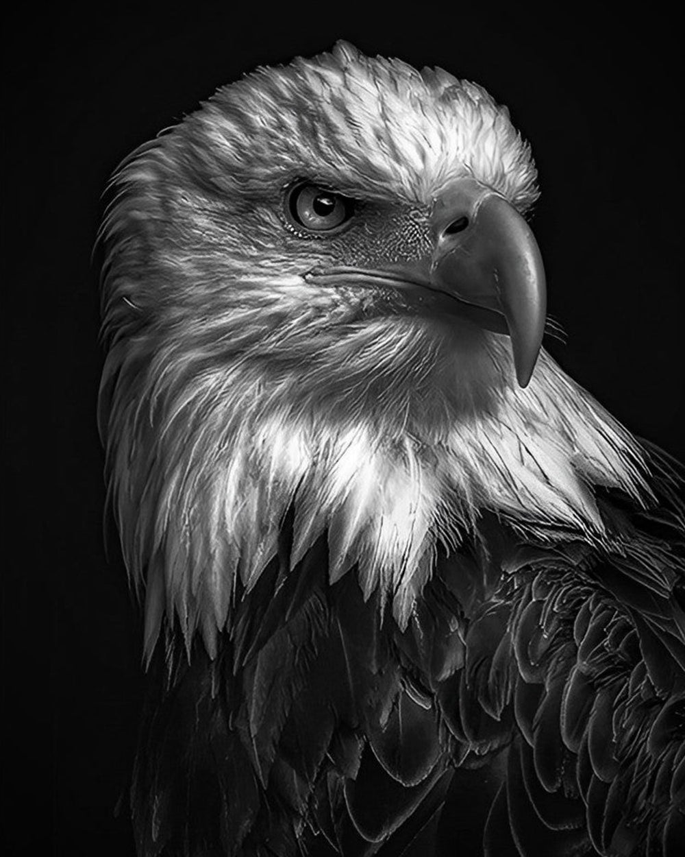 Adler im Dunkeln Diamond Painting