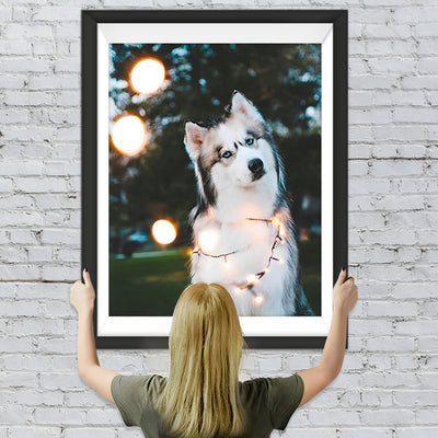 Alaska-Hund mit Lampen Diamond Painting