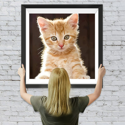 Baby orange Katze Diamond Painting