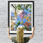 Baumkrone unter blauem Himmel Diamond Painting