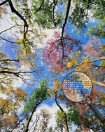 Baumkrone unter blauem Himmel Diamond Painting