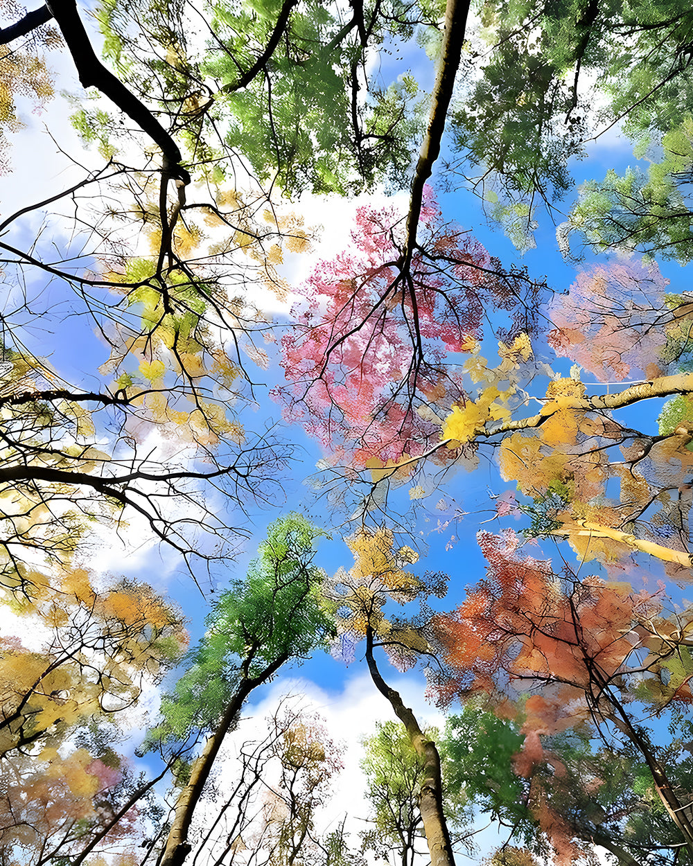 Baumkrone unter blauem Himmel Diamond Painting