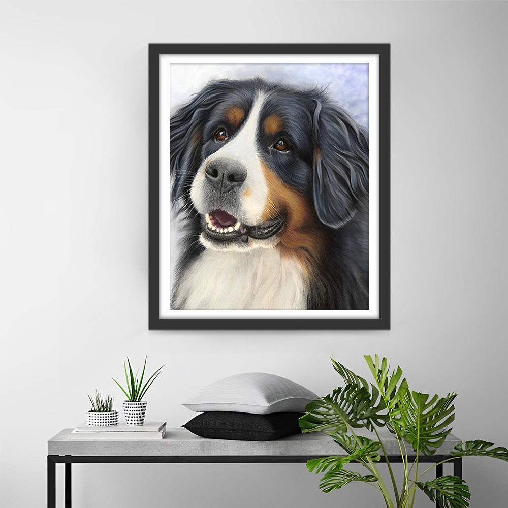 Berner Sennenhund Diamond Painting