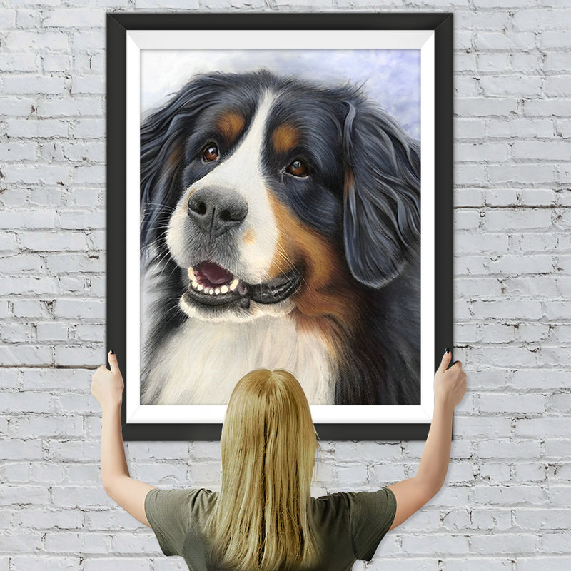 Berner Sennenhund Diamond Painting