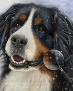 Berner Sennenhund Diamond Painting