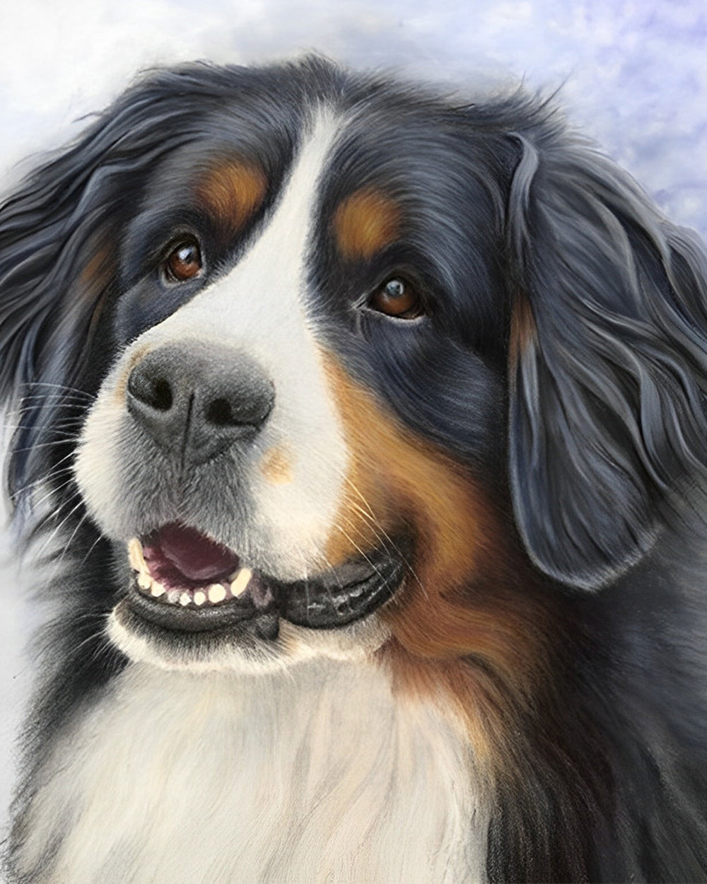 Berner Sennenhund Diamond Painting