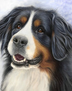 Berner Sennenhund Diamond Painting