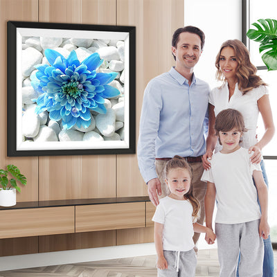 Blaue Chrysantheme auf weißen Steinen Diamond Painting