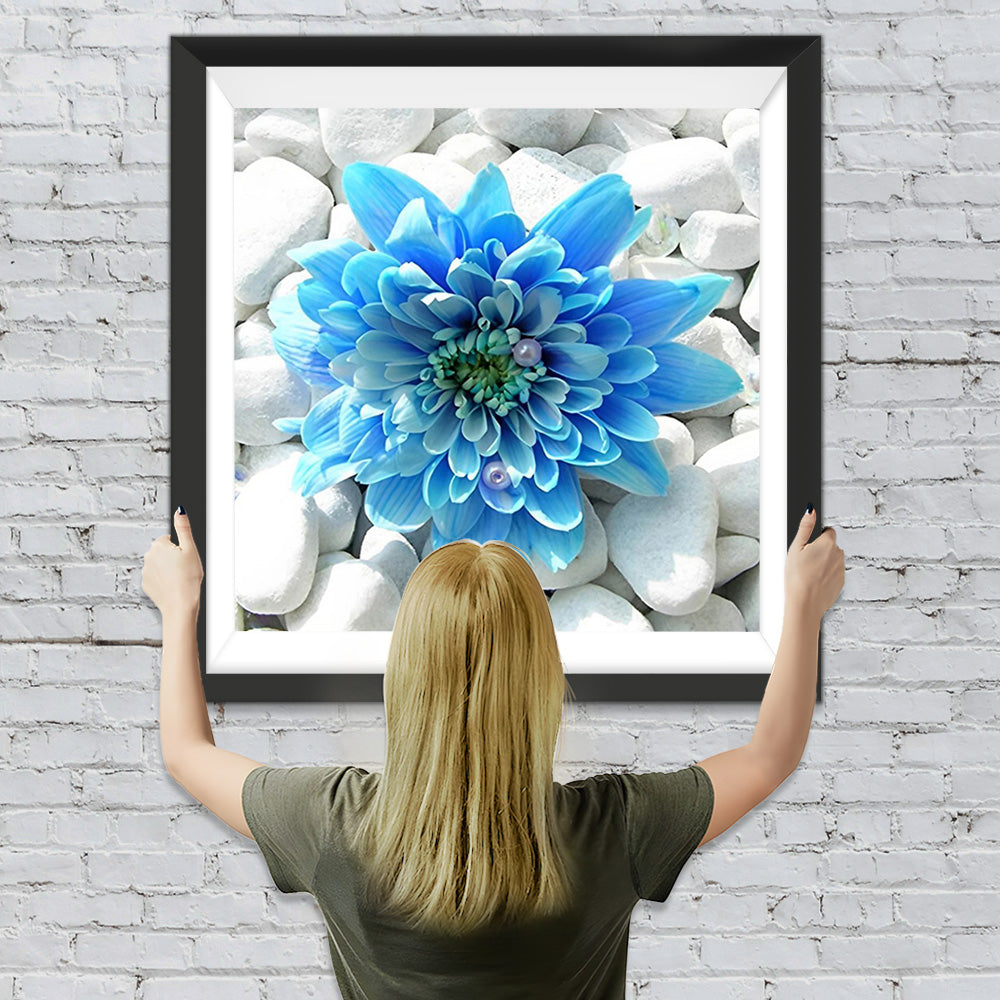 Blaue Chrysantheme auf weißen Steinen Diamond Painting