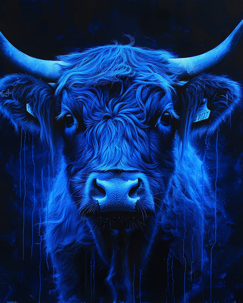Blaue Hochlandkuh in Dunkelheit Diamond Painting