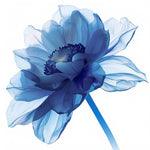 Blaue transparente Chrysantheme Diamond Painting