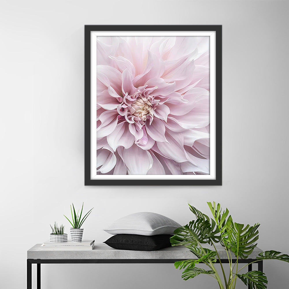 Blühende rosa Chrysantheme Diamond Painting