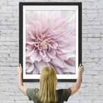 Blühende rosa Chrysantheme Diamond Painting