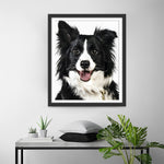 Border Collie Hund Diamond Painting