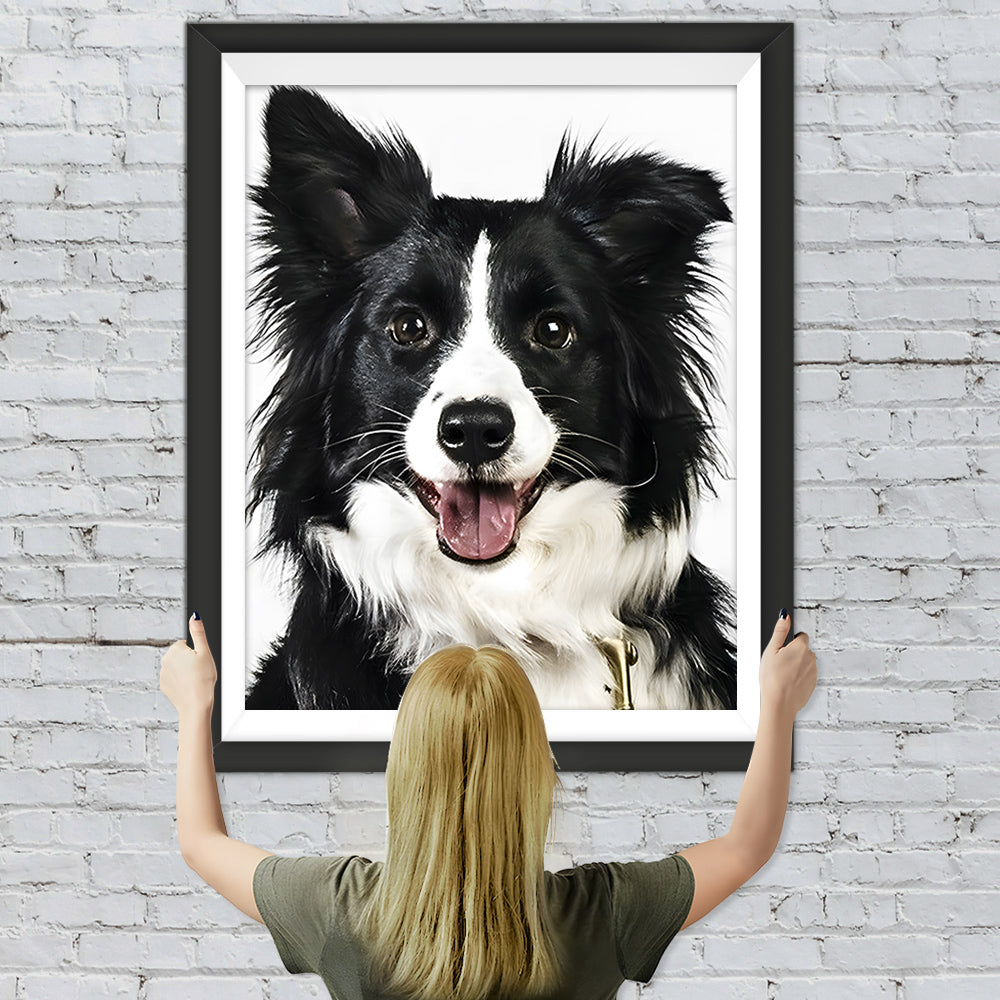 Border Collie Hund Diamond Painting