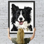 Border Collie Hund Diamond Painting