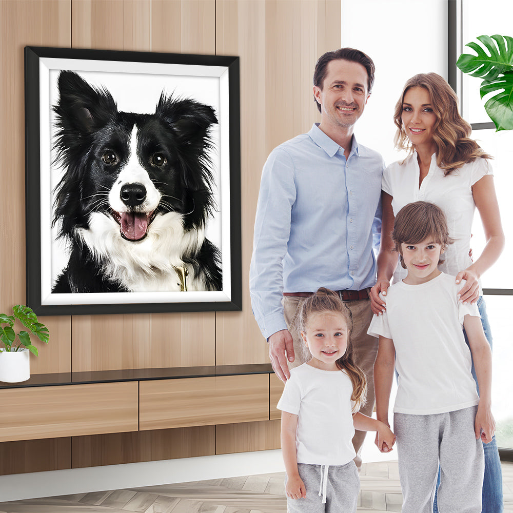 Border Collie Hund Diamond Painting