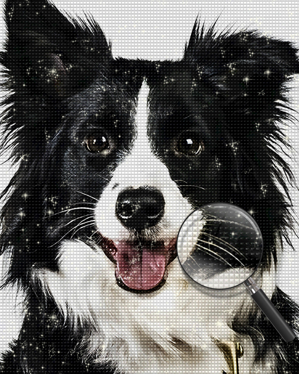 Border Collie Hund Diamond Painting