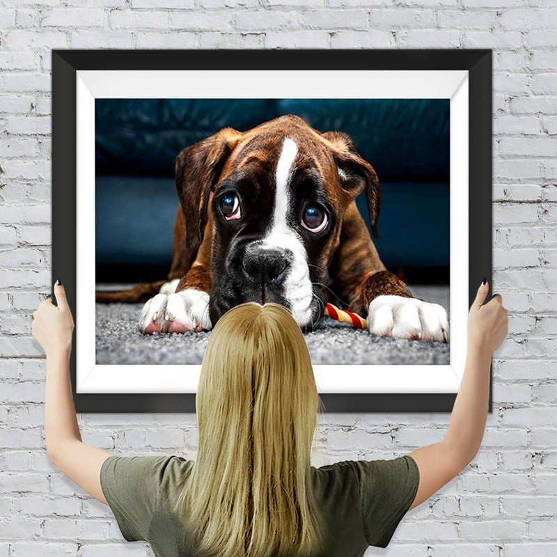 Boxer auf dem Teppich Diamond Painting