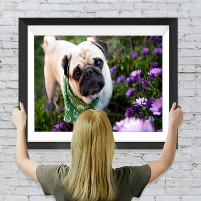 Bulldogge auf der Wiese Diamond Painting