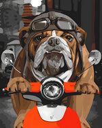 Bulldogge auf einem Motorrad Diamond Painting
