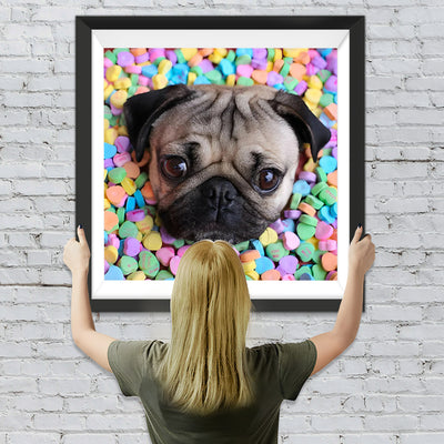 Bulldogge in bunten Bonbons Diamond Painting