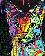 Bunte Katze Diamond Painting