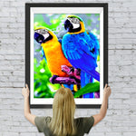Bunte Papageien Diamond Painting