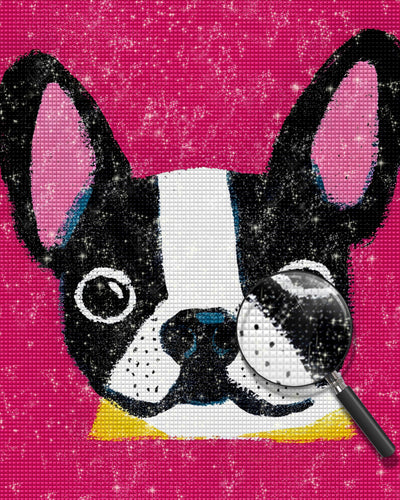 Bunter Boston Terrier Diamond Painting