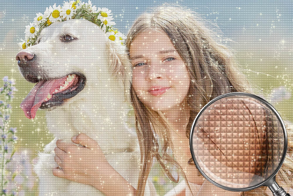 Customized Diamond Painting Effect Picture