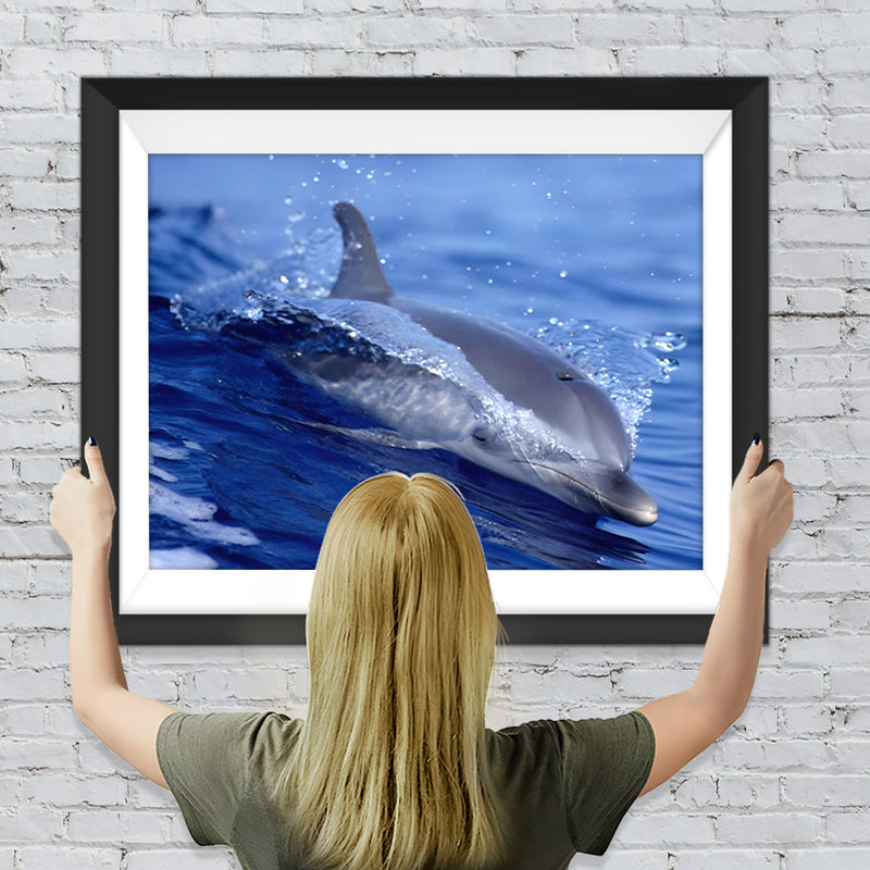 Delfin Diamond Painting