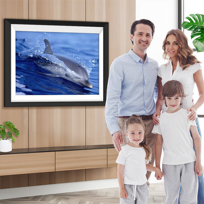 Delfin Diamond Painting