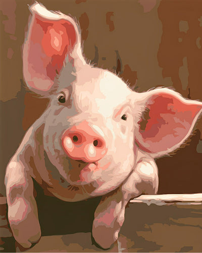 Der Blick des Schweins Diamond Painting