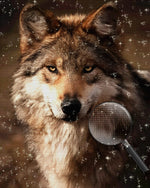 Der Blick des Wolfes Diamond Painting