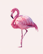 Der rosarote Flamingo Diamond Painting