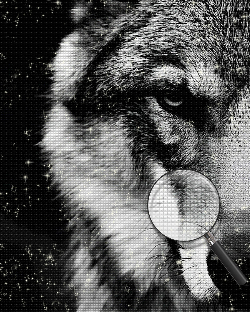 Der verborgene Wolf Diamond Painting