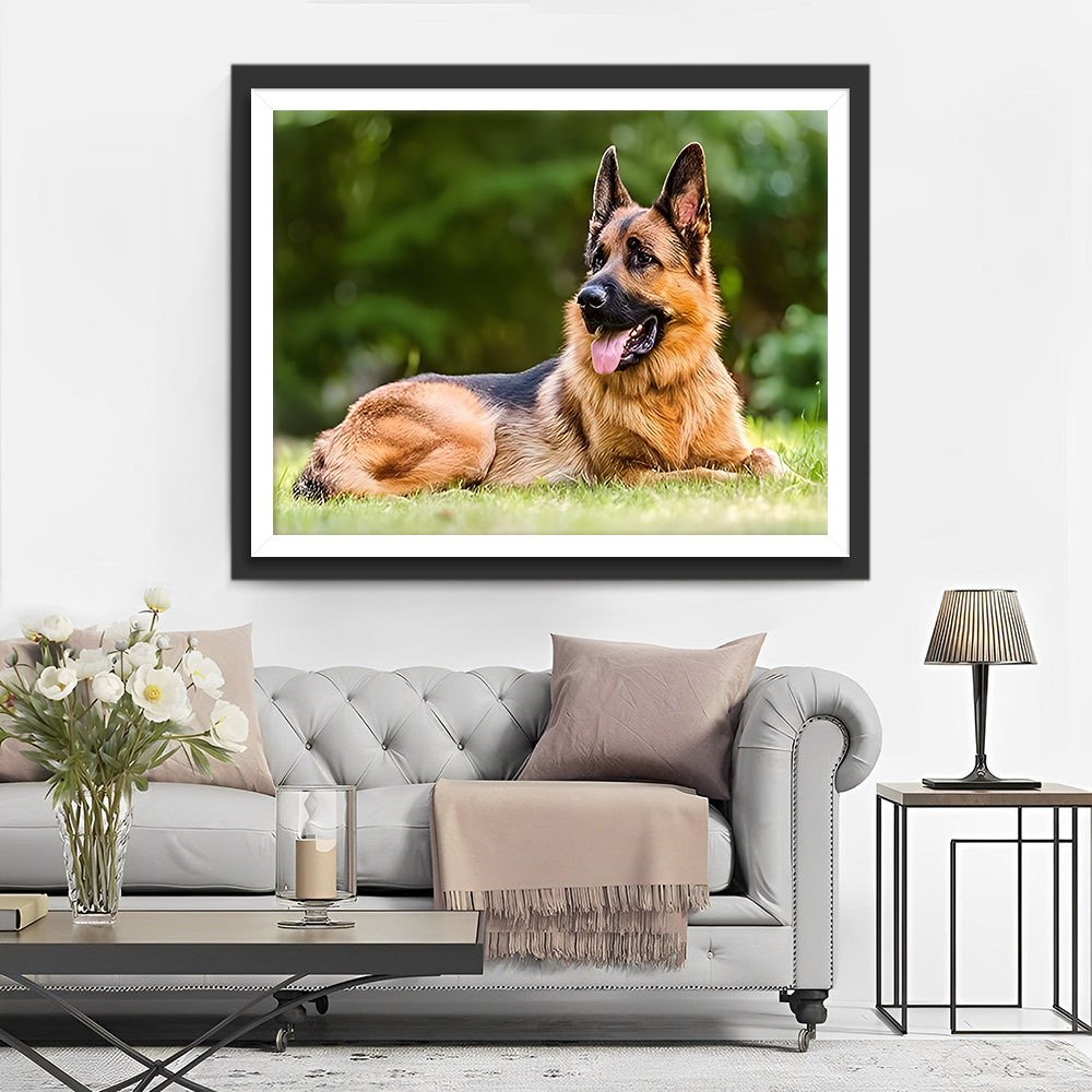 Deutscher Schäferhund auf der Wiese Diamond Painting