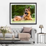 Deutscher Schäferhund auf der Wiese Diamond Painting