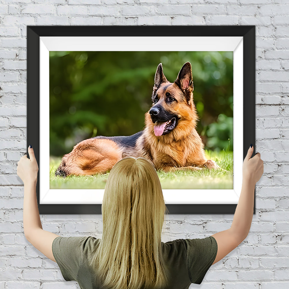 Deutscher Schäferhund auf der Wiese Diamond Painting
