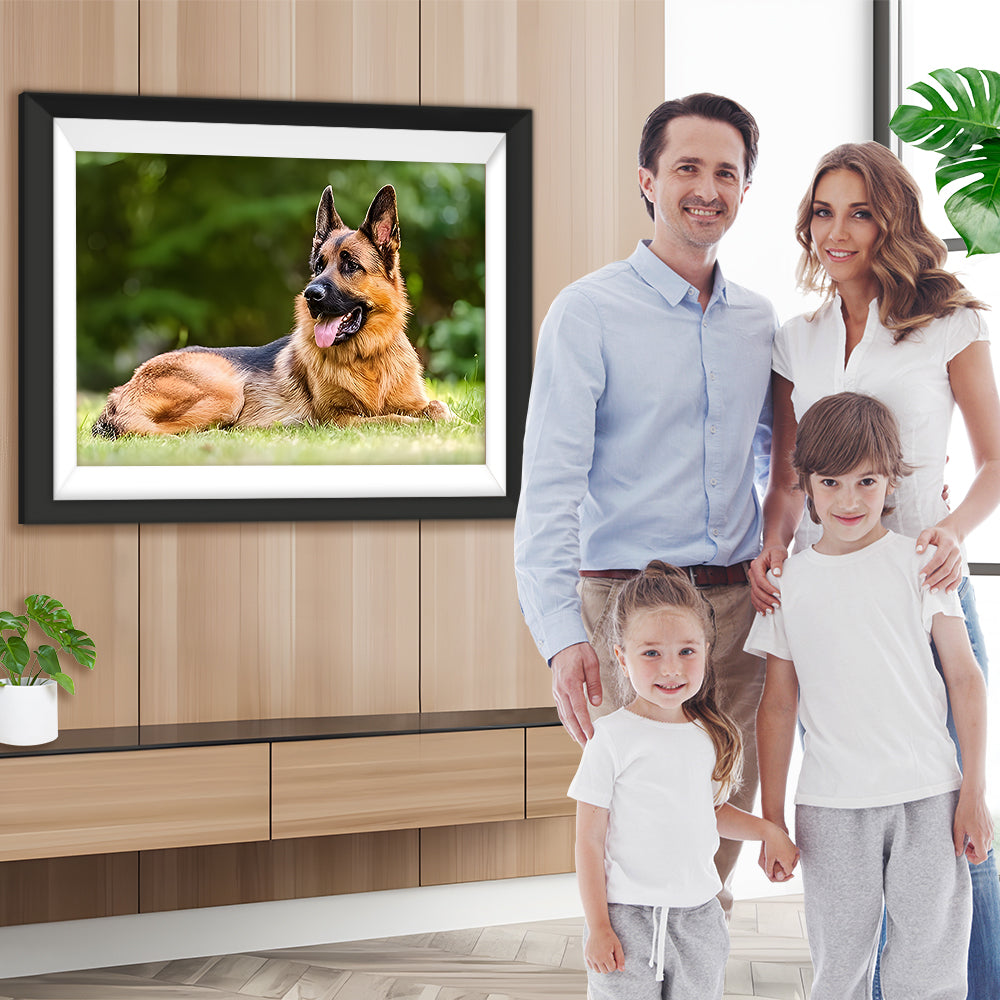 Deutscher Schäferhund auf der Wiese Diamond Painting