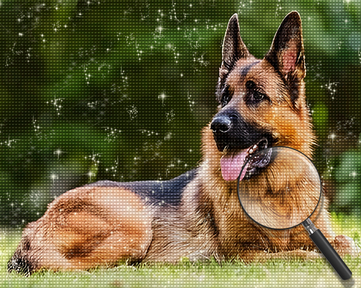 Deutscher Schäferhund auf der Wiese Diamond Painting