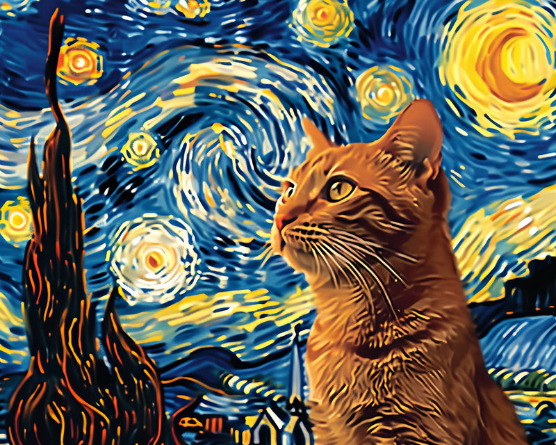 Die orangefarbene Katze und der Sternenhimmel Diamond Painting