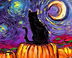 Die schwarze Katze und der Sternenhimmel Diamond Painting