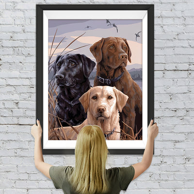 Drei Hunde Diamond Painting